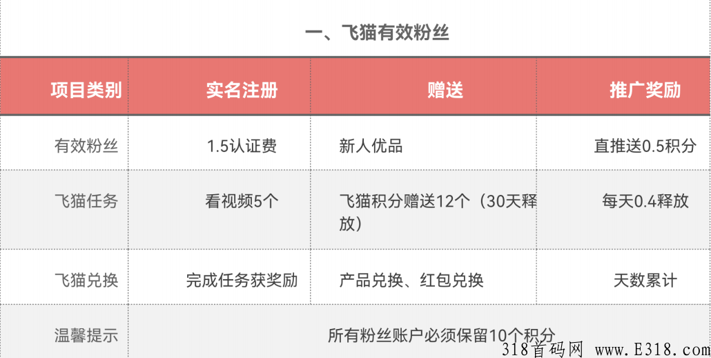 飞猫优品是什么?团队长招募，欢迎对接。